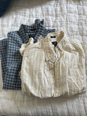 Button down shirts
